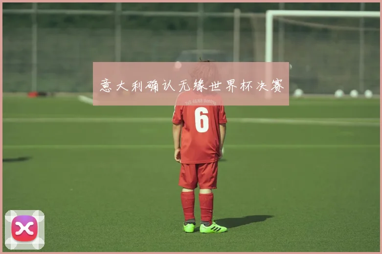 意大利确认无缘世界杯决赛