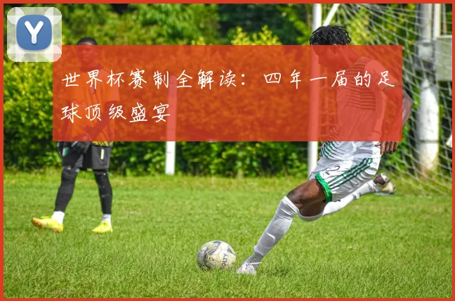 世界杯赛制全解读：四年一届的足球顶级盛宴