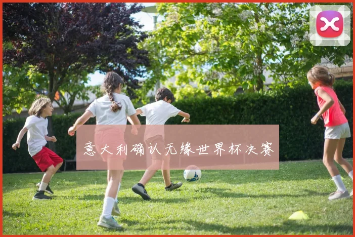 意大利确认无缘世界杯决赛