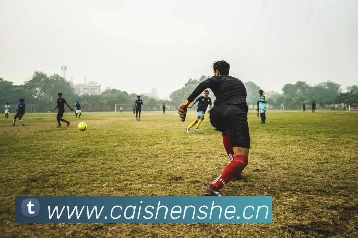 多媒体互动体验